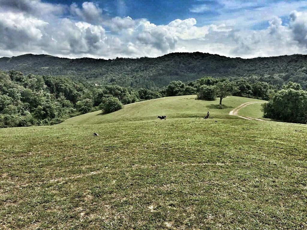 Aadhavana Homestay - Sakleshpur Māranhalli Eksteriør billede