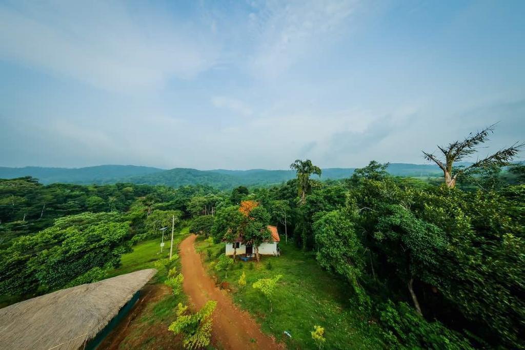 Aadhavana Homestay - Sakleshpur Māranhalli Eksteriør billede