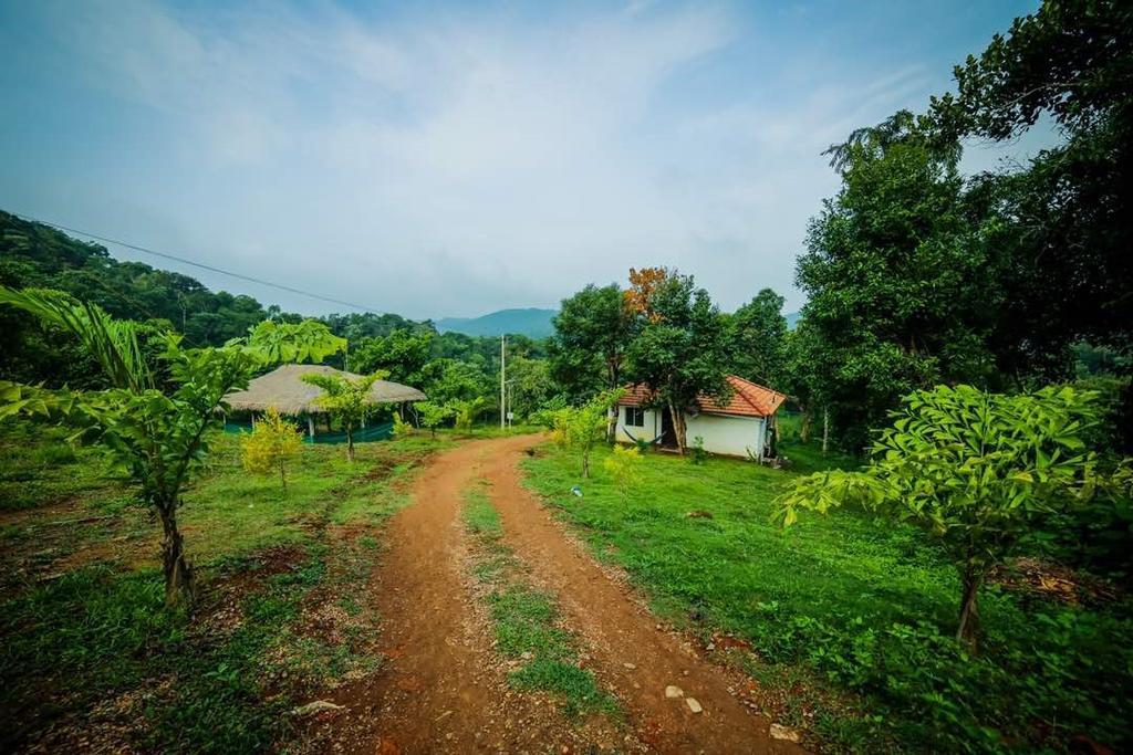 Aadhavana Homestay - Sakleshpur Māranhalli Eksteriør billede